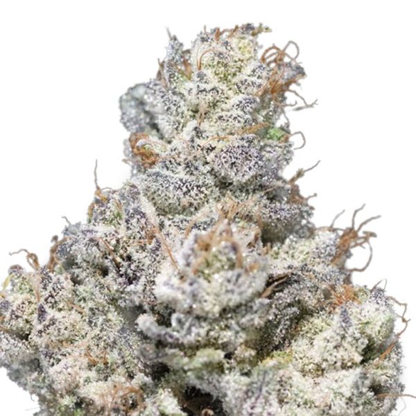 Grape Jelly Donut