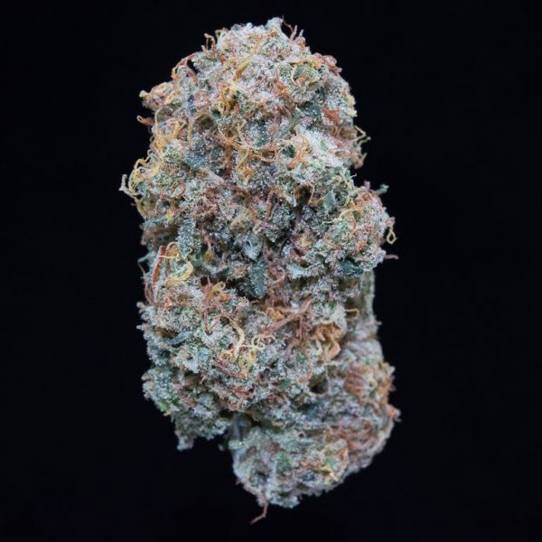 Dutch Haze