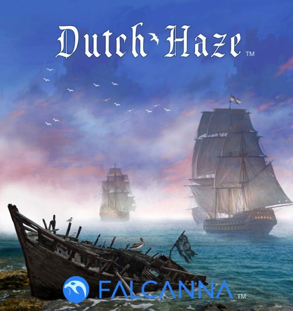 Dutch Haze
