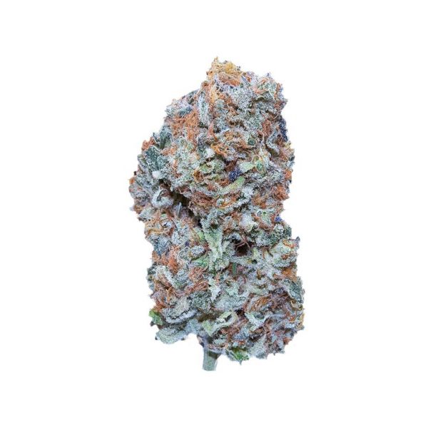 Diesel Thai