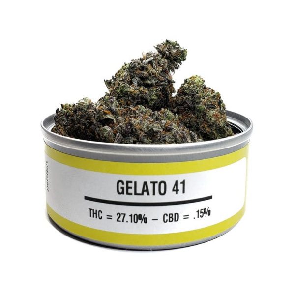 Gelato 41