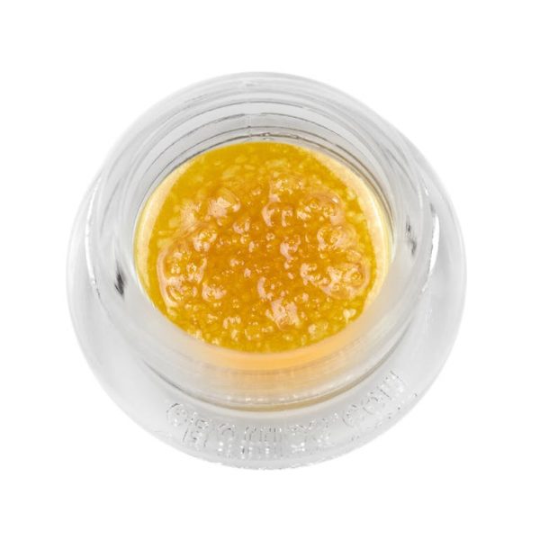 Live Sugar