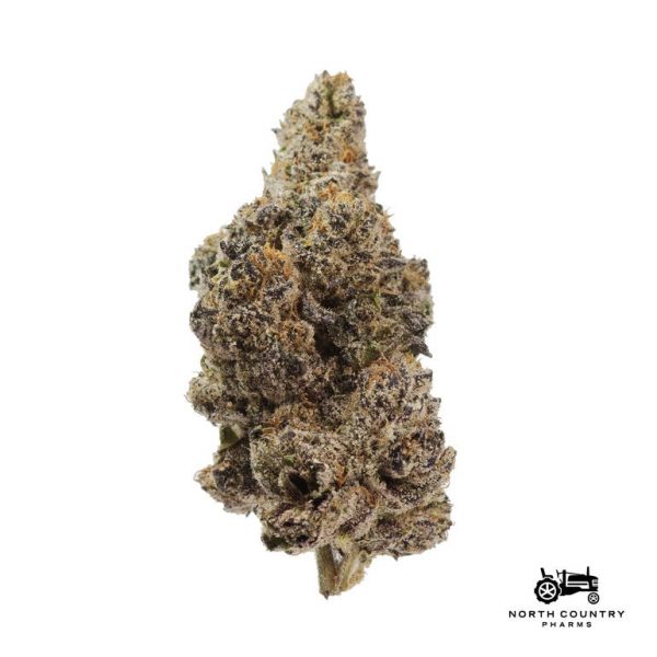 Grape Jelly Donut