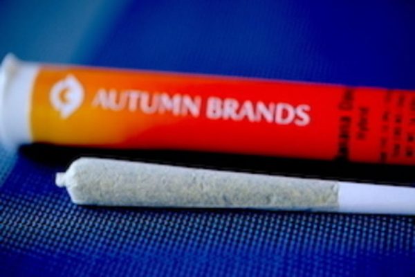 Autumn OG 1 Gram Preroll