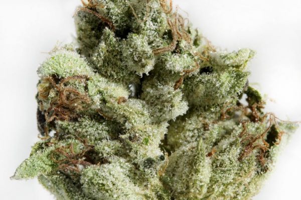 Marley Natural Green - Wedding Cake