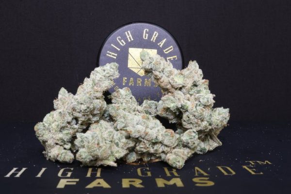Han Solo Burger 3.5G Indoor