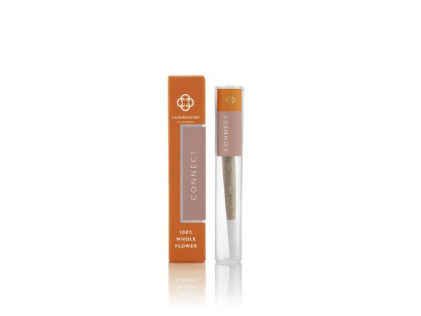 Canndescent Connect 402 1g Pre-roll