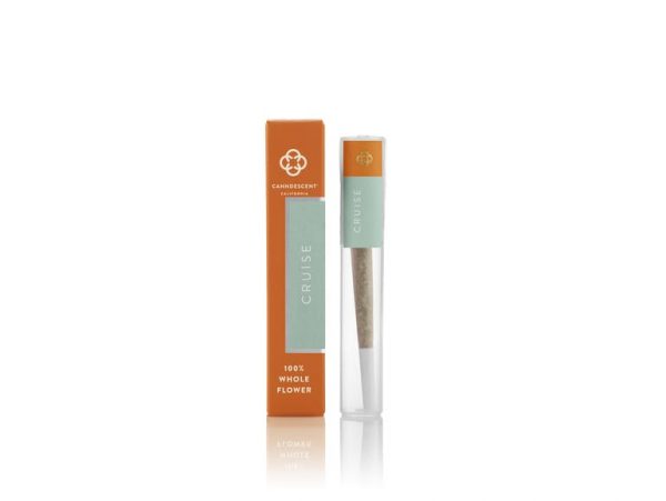 Canndescent 1g pre-roll: Cruise 211