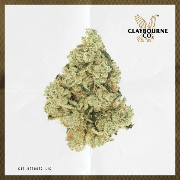 Professor Chaos (1g)