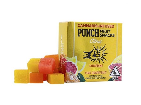 Fruit Snack - Citrus