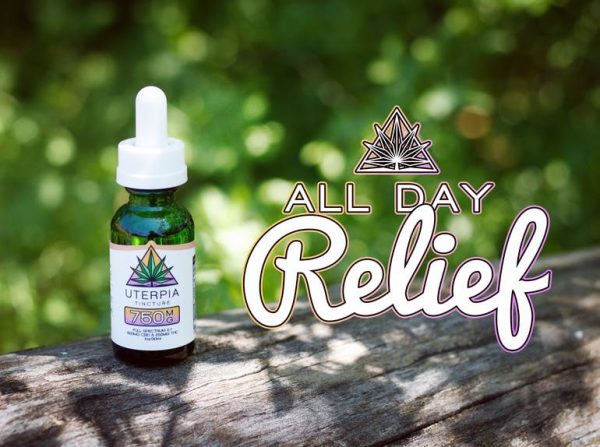 2:1 CBD:THC Tincture - 750MG