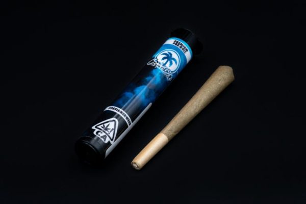 Pre-roll single - Biscotti X Gushers (1g)