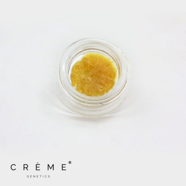Purple Punch - Live Resin (1g)
