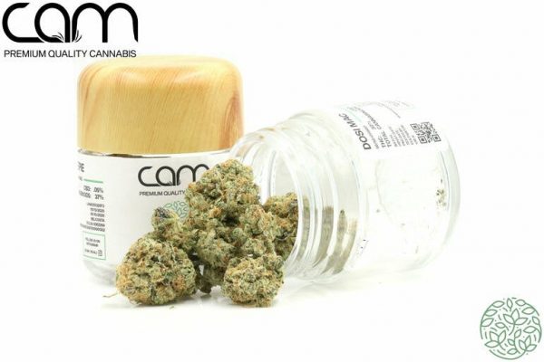 CAM Dosi Mac - Indoor (14g)