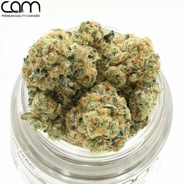 CAM Dosi Mac - Indoor (14g)