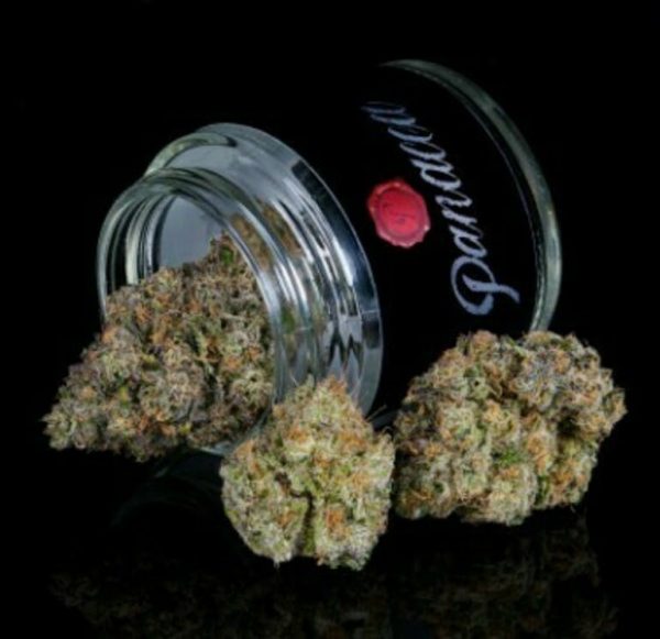 Crashers-Indoor-1/8oz