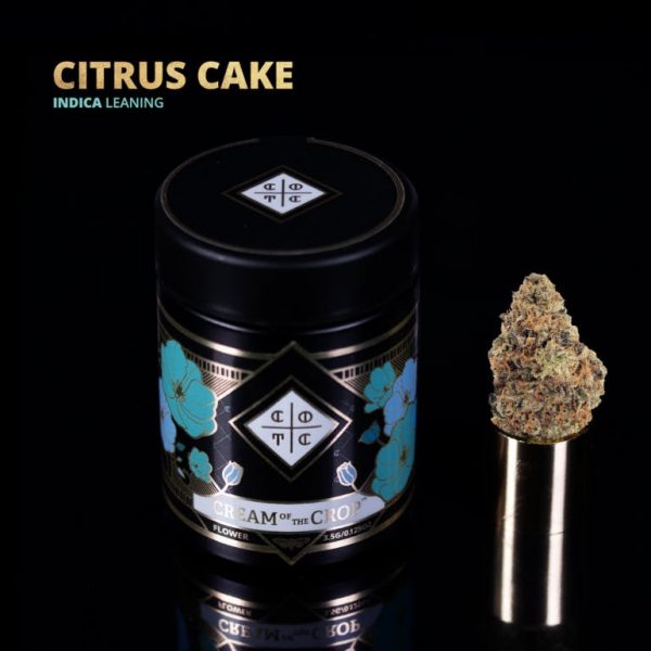 Citrus Cake