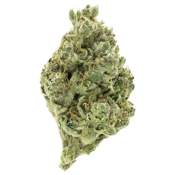 Candy Cane grown by HIOAK
