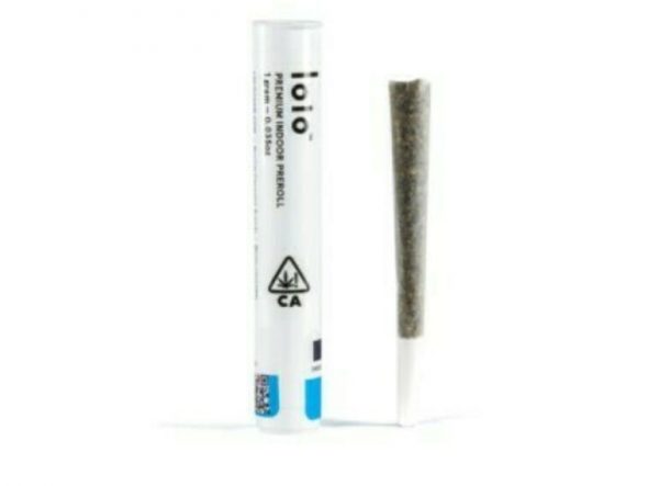 French Toast-Indoor-Pre-Roll-1g