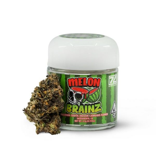 Melon Brainz