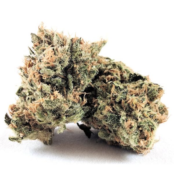 Canndescent Cruise 211 1/8th