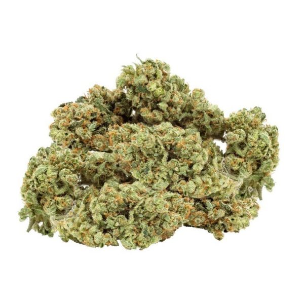 The Original Jack Herer™ 8th