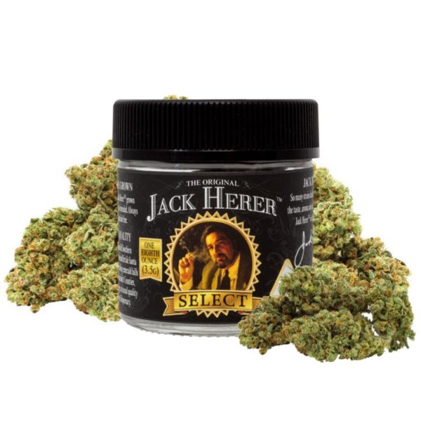 The Original Jack Herer™ 8th