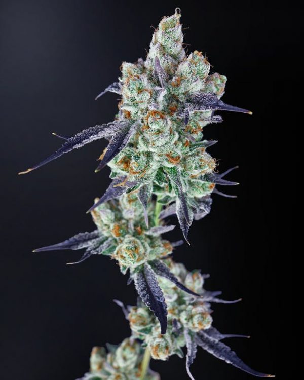 3C Blu Chardonnay 3.5g
