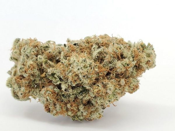 Mandarin Cookies 1/8th Jar