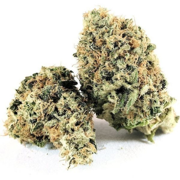 Canndescent Calm 111 1g Jar