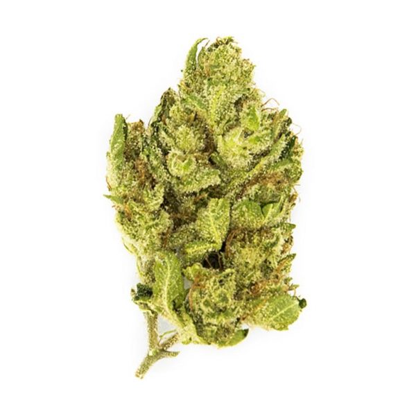 Banana OG 1/8th Canned Flower (3.5g) Natural Light