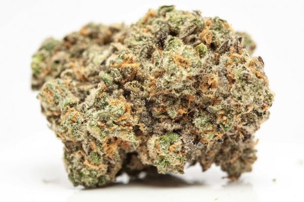 Hazelnut Cream 3.5 Grams