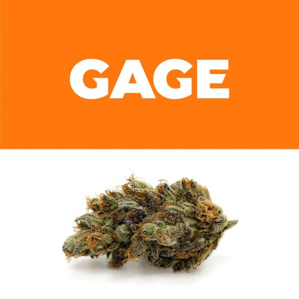 Orange CKS 3.5G Jar
