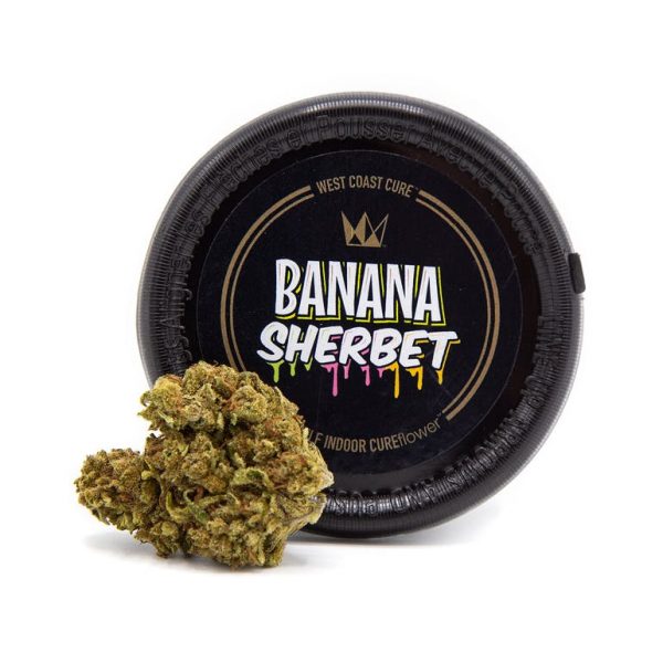 Banana Sherbet 1/8th Canned Flower (3.5