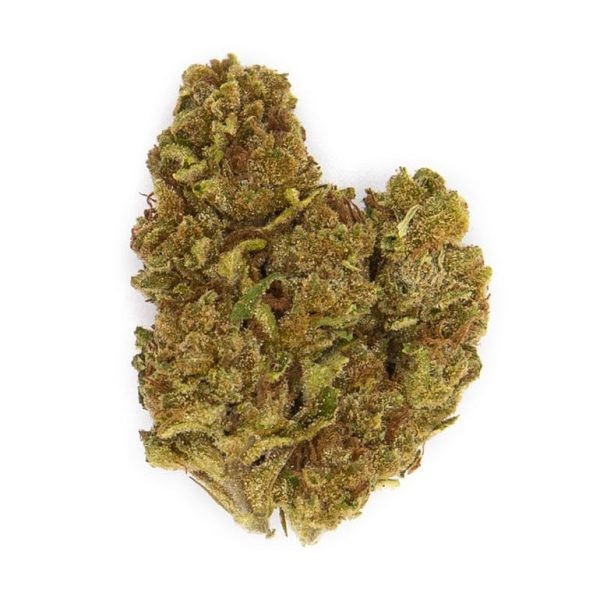 Banana Sherbet 1/8th Canned Flower (3.5