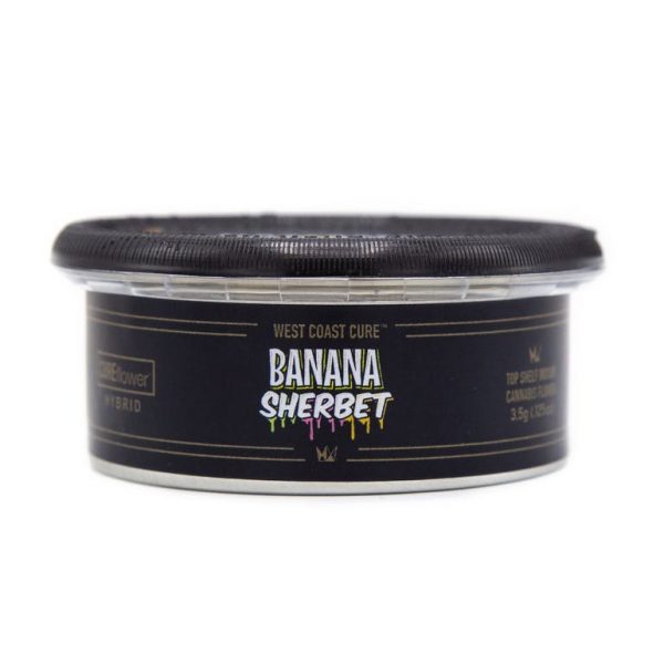 Banana Sherbet 1/8th Canned Flower (3.5