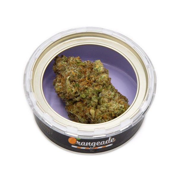 Orangeade 1/8th Canned Flower (3.5g