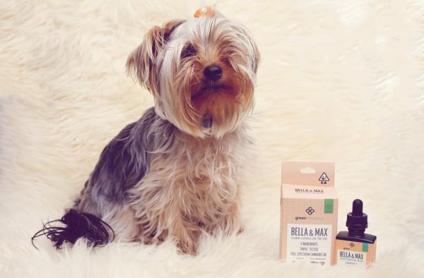 Bella & Max 30:1 Tincture