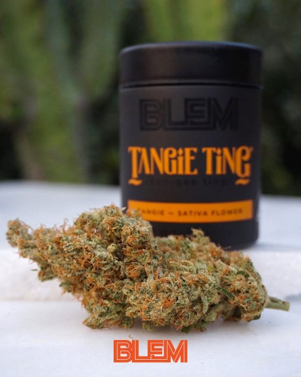 BLEM TANGIE TING