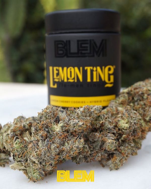 BLEM LEMON TING