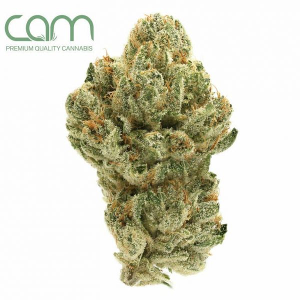CAM LA Kush - Indoor (14g)
