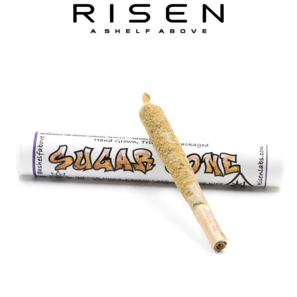 Sugar Cone