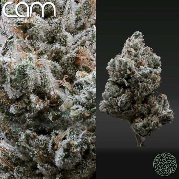 CAM Hell's OG - Indoor (3.5g)