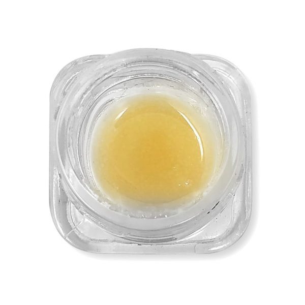 Ice Cream Cake 1g Sauce (Concentrate)