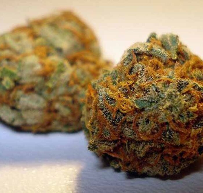 Top Vegan Cannabis Edibles Top Vegan Cannabis Edibles