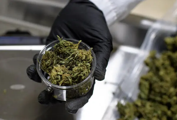 How To Burp Weed How To Burp Weed