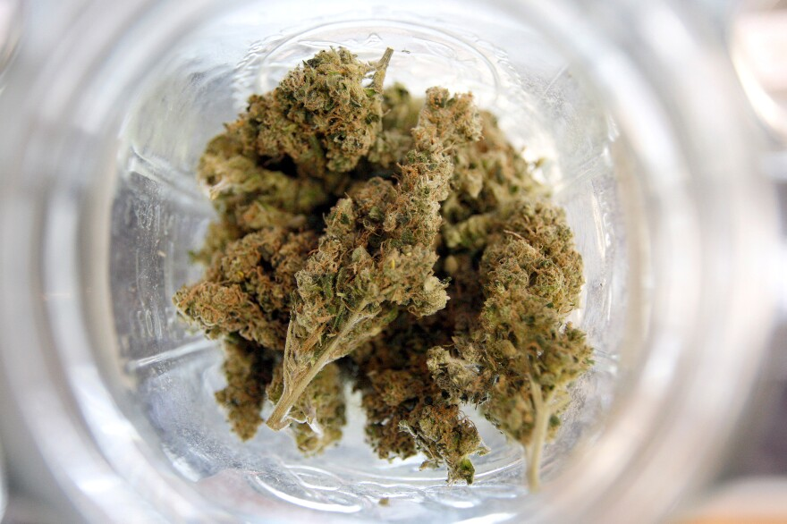 How to Make THC Powder How to Make THC Powder