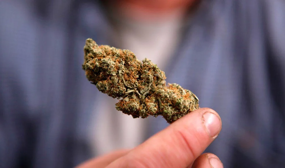 Weed for beginners Weed for beginners