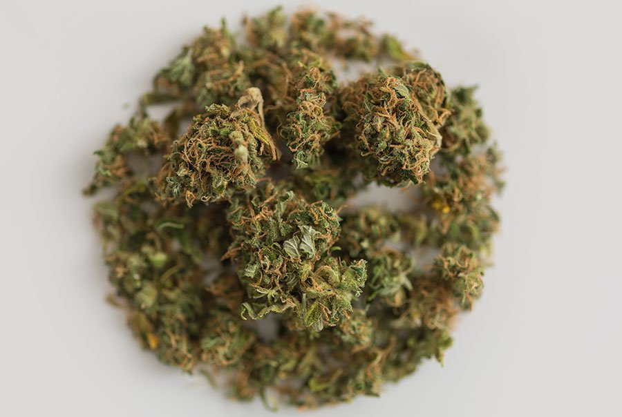 Beginners Guide to THC Concentrates Beginners Guide to THC Concentrates