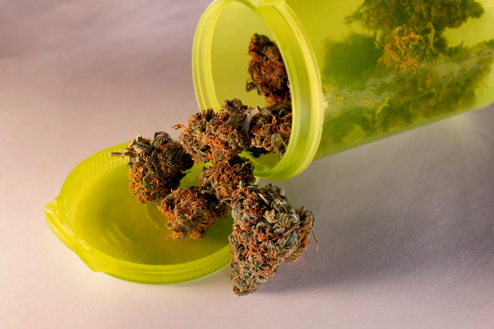 How to Roll a joint like a pro How to Roll a joint like a pro